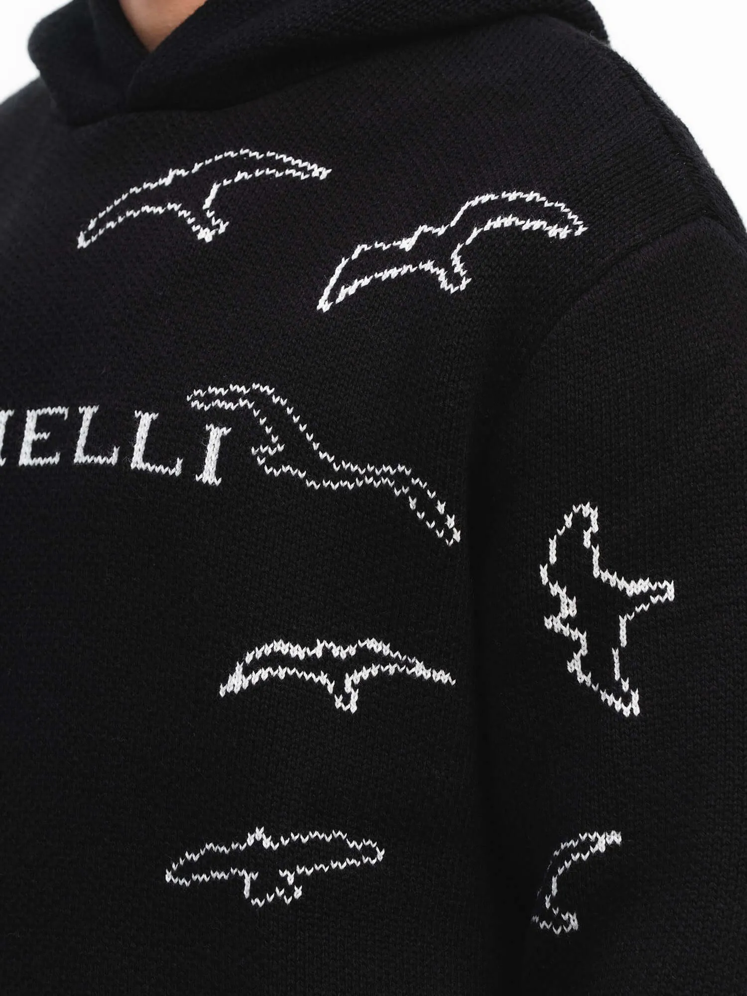 Free Birds Knit Hoodie