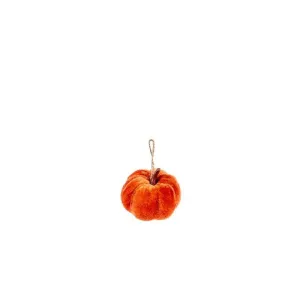 Smart Garden MiniKin Pendant Pumpkin (Choice of 3)